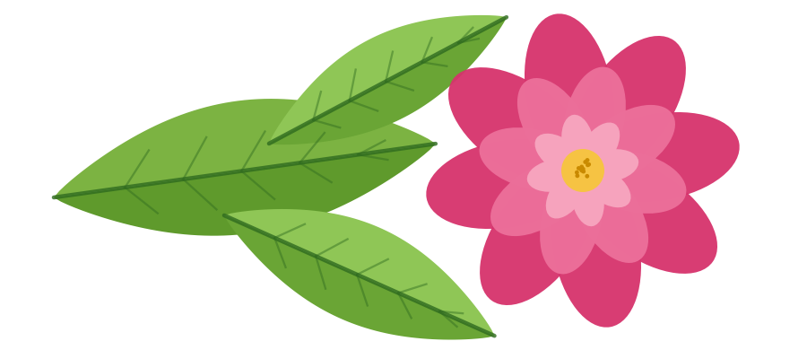 pink flower leaf