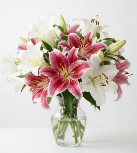 About aswathi s s royal lilly bouquet with white background e682252e a1ab 41f7 ac94 db7c04eb28d9
