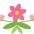 pink flower divider